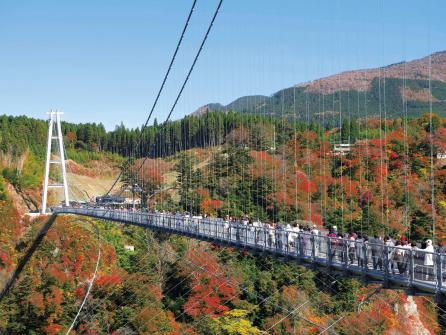 九重夢大吊橋