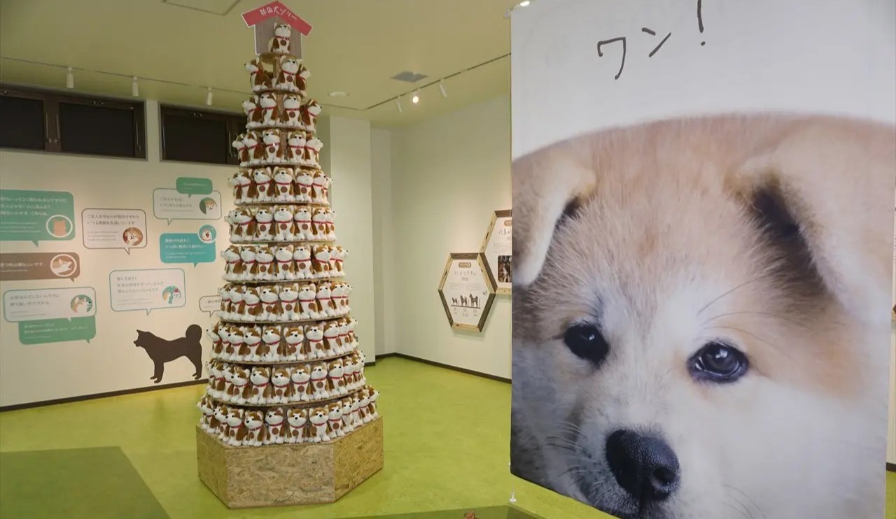 忠犬八公~秋田犬之里