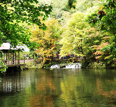 羊蹄山名水公園