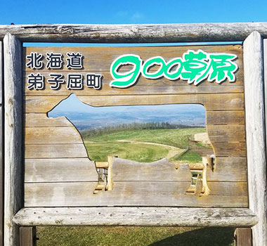 ９００草原