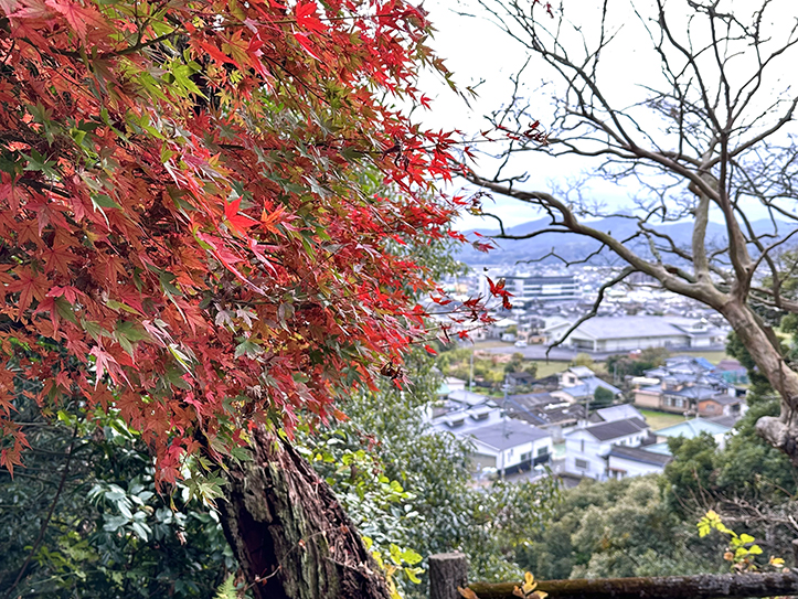 小城祇園社~須賀神社