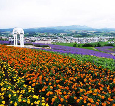 富良野日出公園