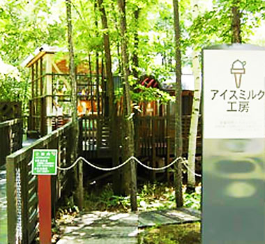 富良野起司工坊~DIY霜淇淋