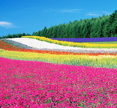 富田農場