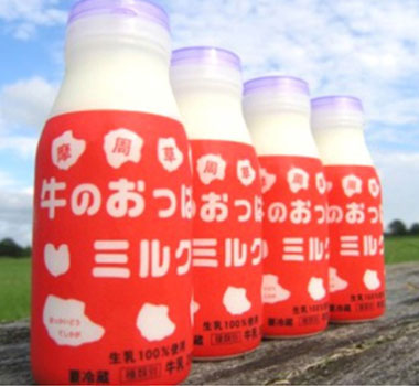 渡邊牧場擠牛奶