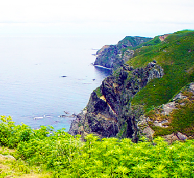 天売島