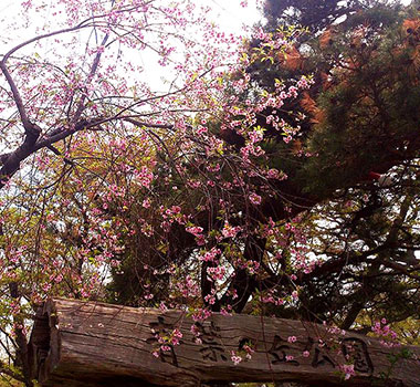 青葉丘公園