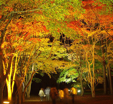函館見晴公園