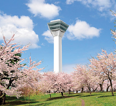 五稜郭公園(賞櫻)