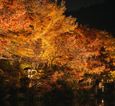 清水寺