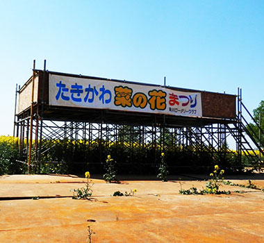瀧川油菜花田