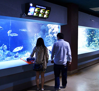 小樽水族館