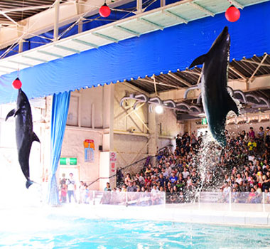 小樽水族館