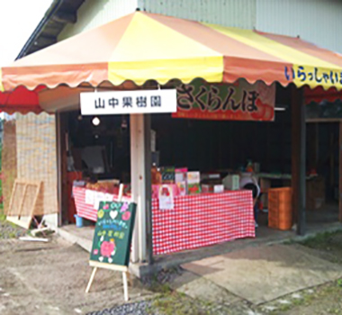 山中果樹園