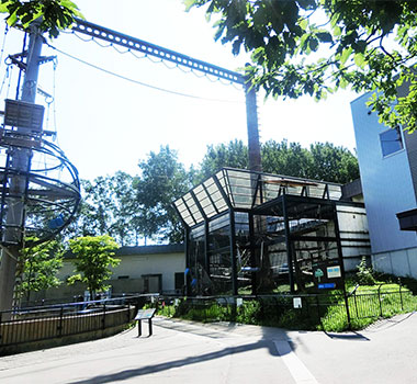 旭山動物園
