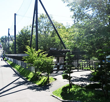 旭山動物園
