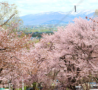 旭山公園