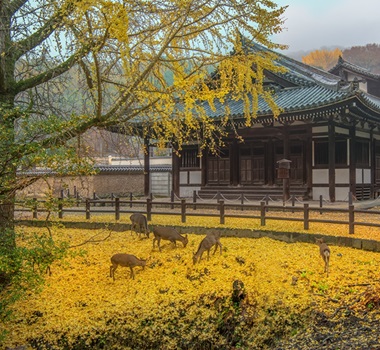 東大寺