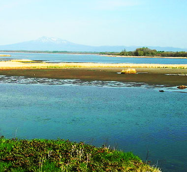 濤沸湖