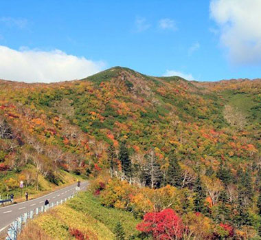 知床峠紅葉