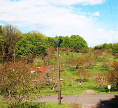 平岡公園