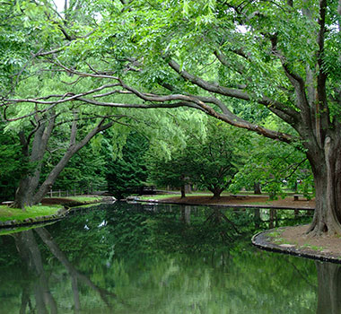 札幌円山公園