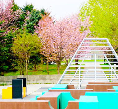 莫埃來沼公園(賞櫻)