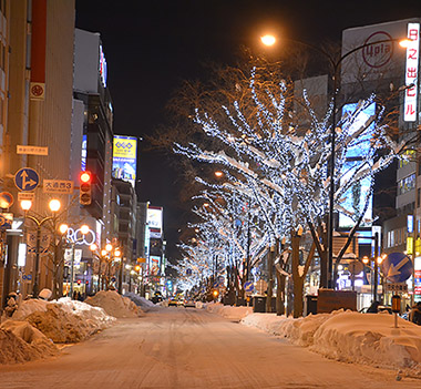 札幌白色燈樹節