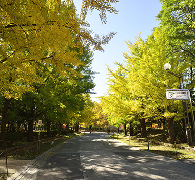 中島公園