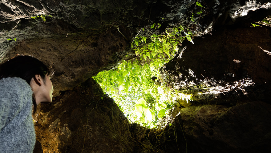 鐘乳石洞CAVE OKINAWA