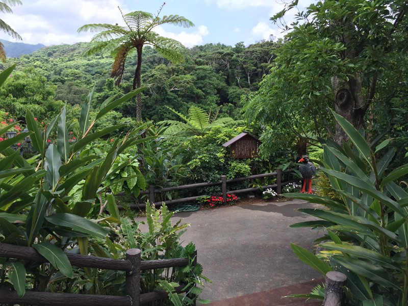 名護DINO恐龍公園