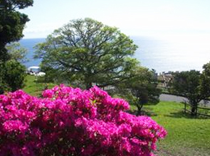 日南太陽花園~摩艾像
