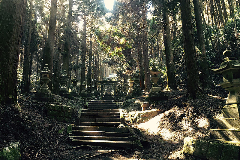 螢火之森~上色見熊野座神社