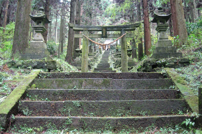 螢火之森~上色見熊野座神社