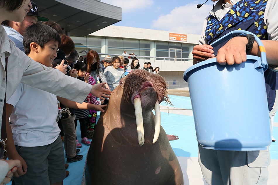 海之卵水族館