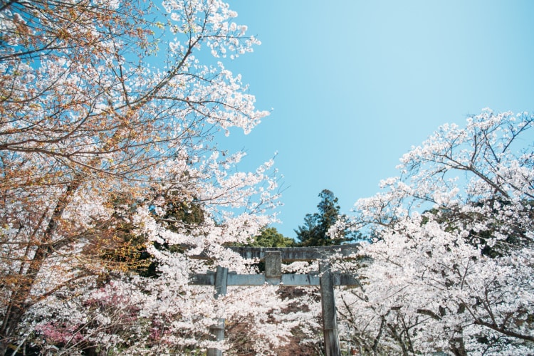 竈門神社