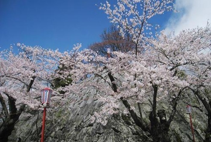 盛岡城跡公園