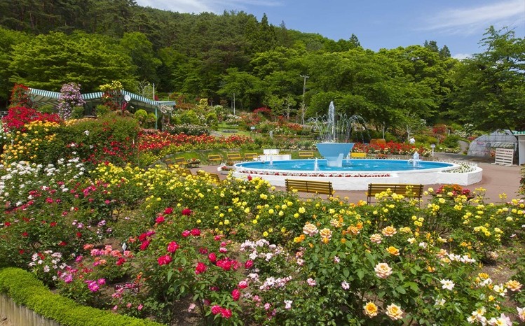 花巻溫泉玫瑰園