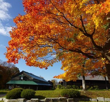 北海道開拓村