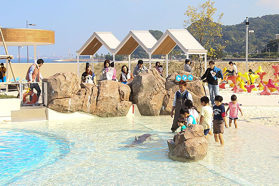 海之卵水族館