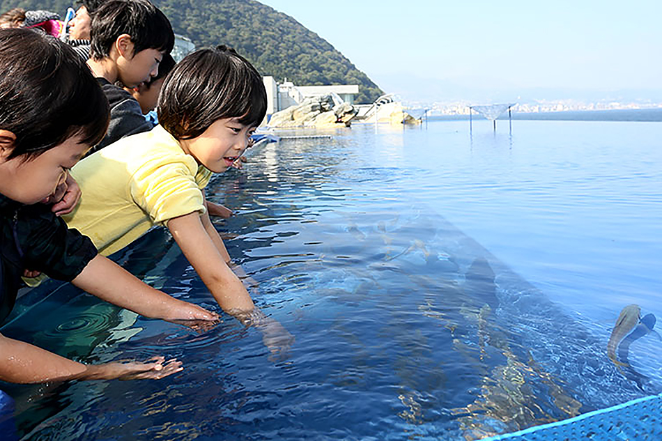 海之卵水族館