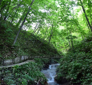 大湯沼川天然足湯