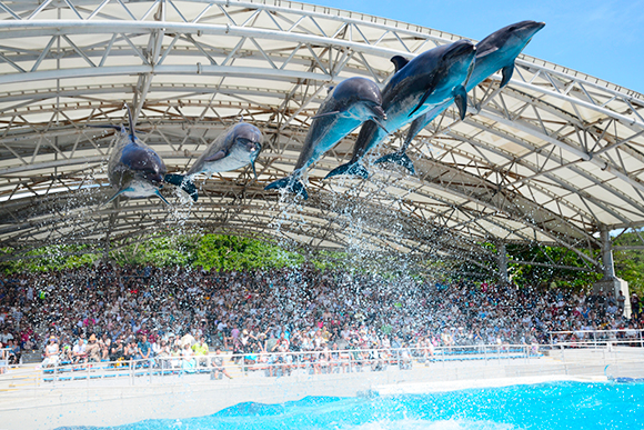 海洋博公園~美麗海水族館