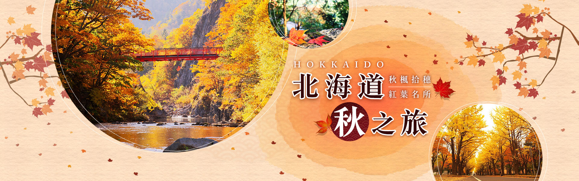 北海道賞楓紅~2025/9月~11月