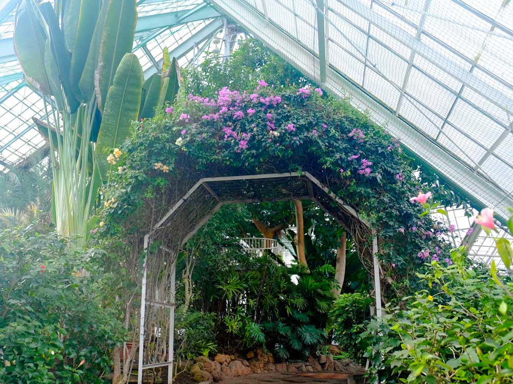 函館市熱帶植物園