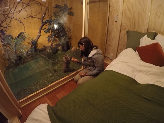 冬季豪華露營