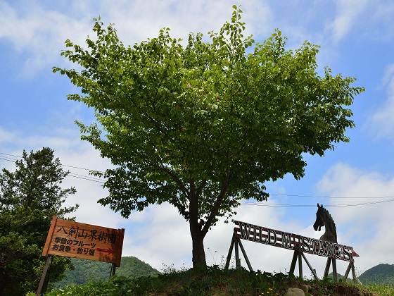 八劍山果樹園
