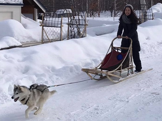 狗拉雪撬