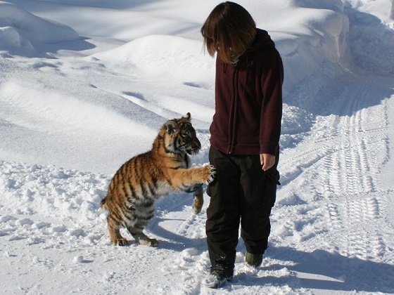 北札幌野生動物園